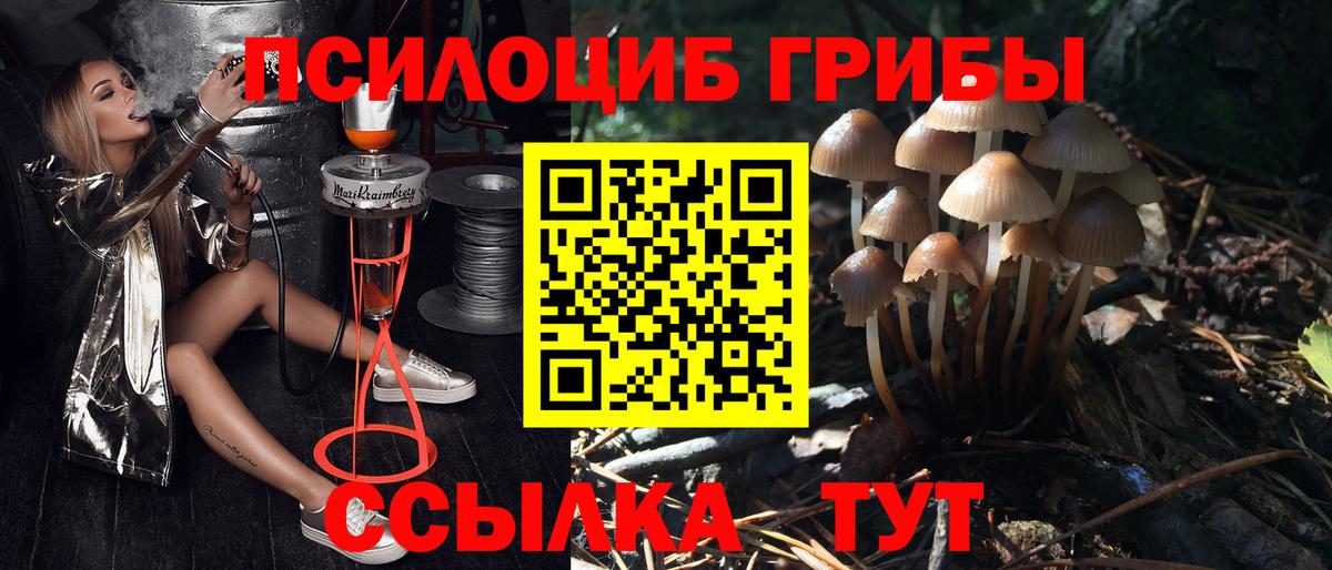 Псилоцибиновые грибы Magic Shrooms Кинель